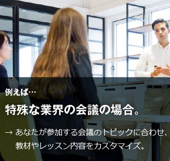 コーチング英会話「トライズ」特殊な業界の会議の場合